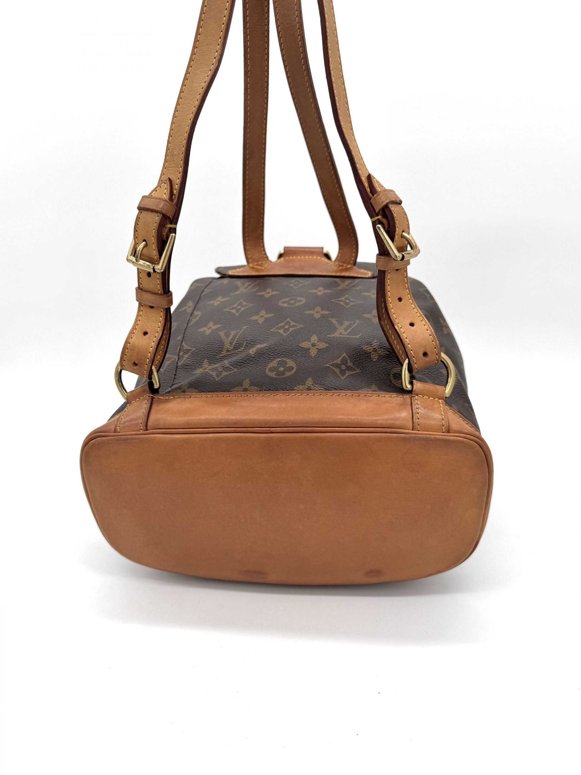 Louis Vuitton Montsouris MM