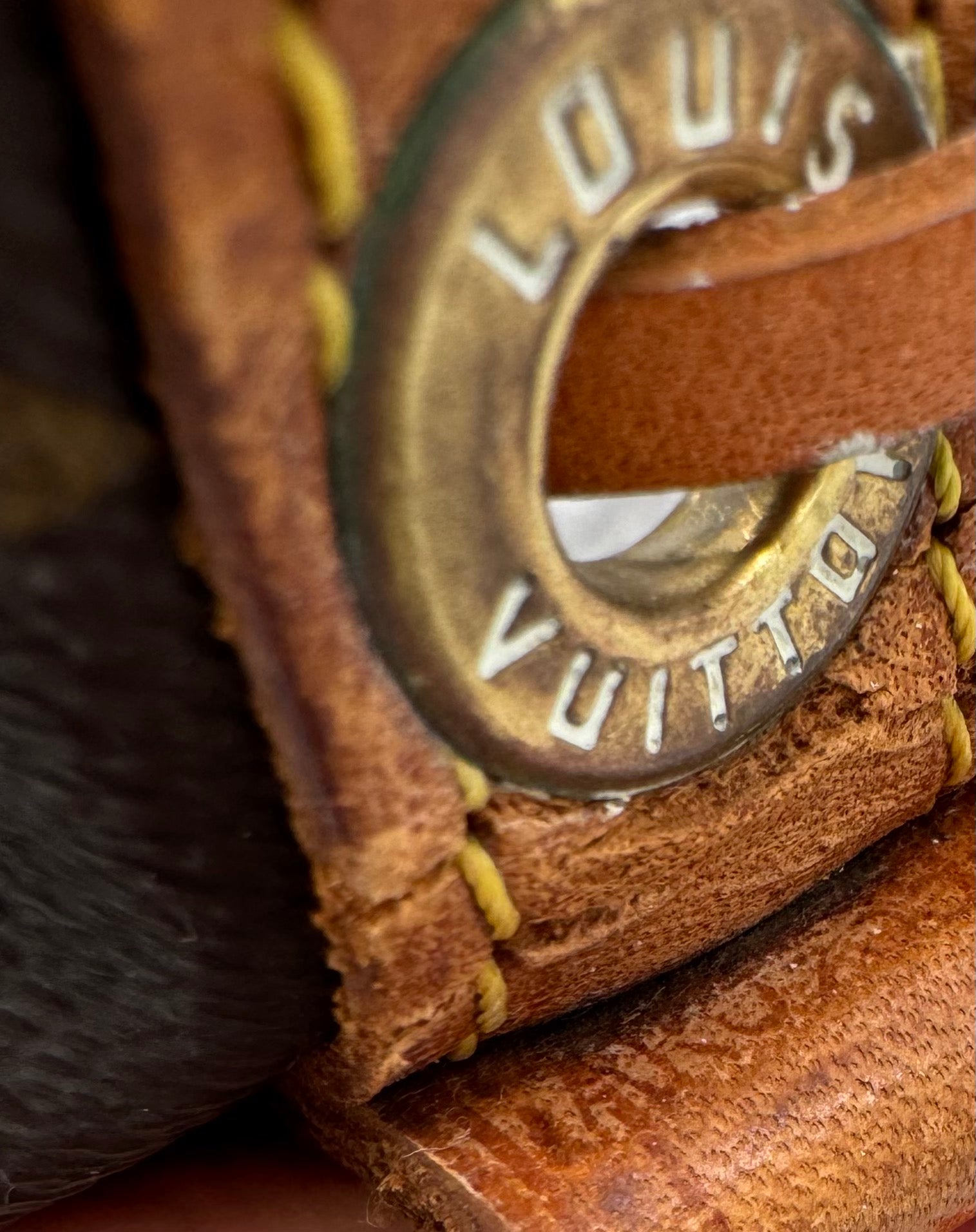 Louis Vuitton Sac Noe Petit