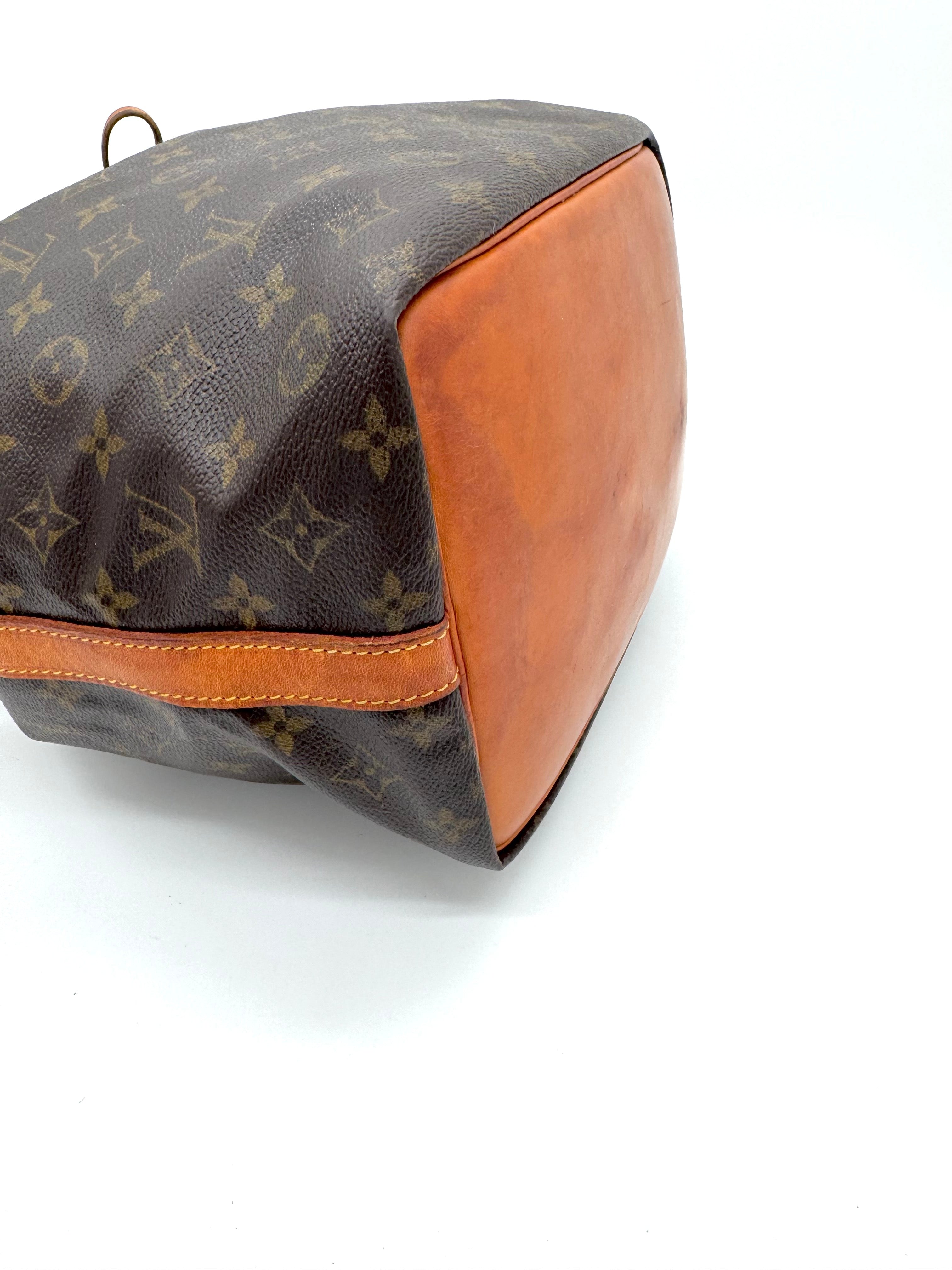 Louis Vuitton Sac Noe Petit